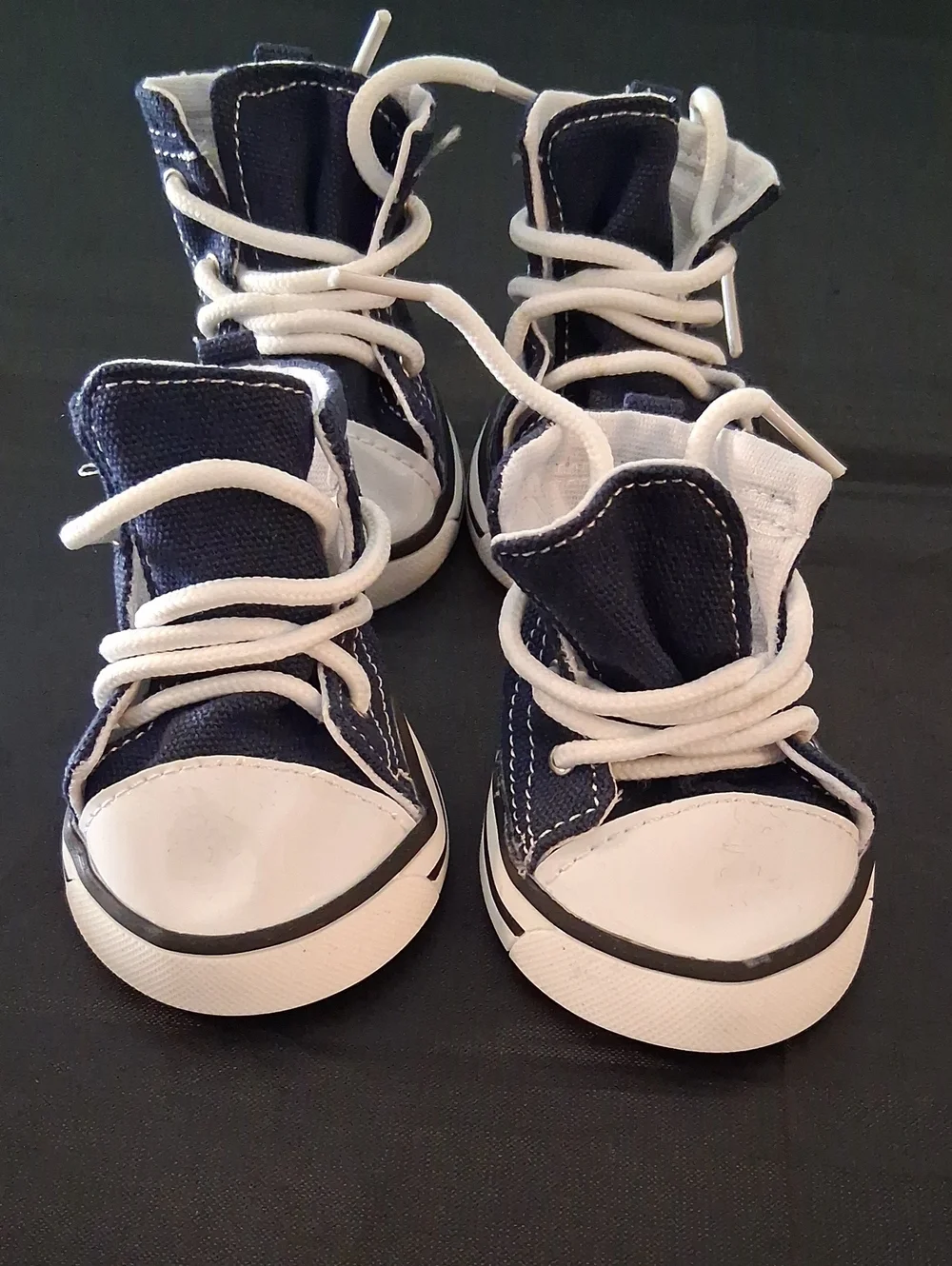 Dog's Navy Canvas High-Top Sneakers with White Laces